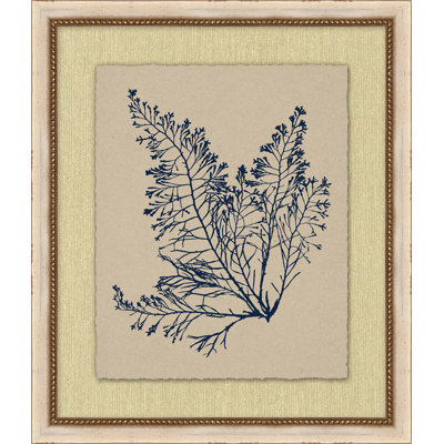 Small Navy Sea Fan 4 Print
