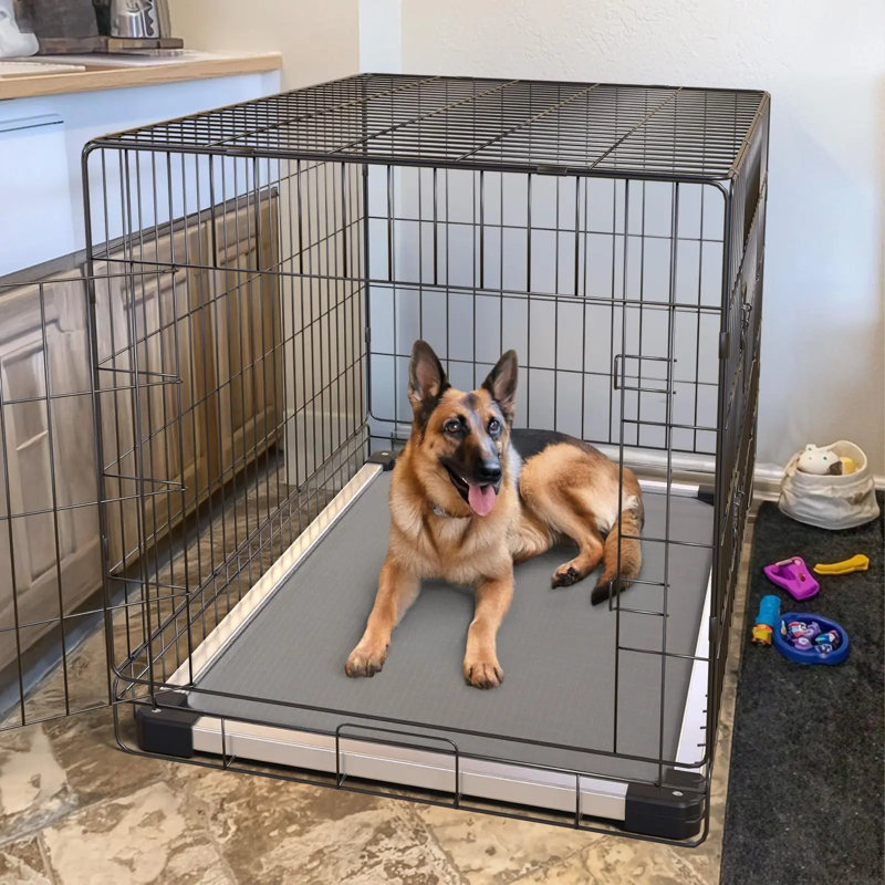 Lit pour chien surélevé à l'épreuve des mâchoires, lit surélevé pour l'intérieur / extérieur / camping, lit pour animaux de compagnie rembourré durable et lavable pour grands chiens, L 47,0 po x l 29,0 po x H 7,3 po.