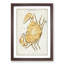Astronomical Zodiac Chart Of The Cancer - Single Picture Frame Painting-57844226-57844225