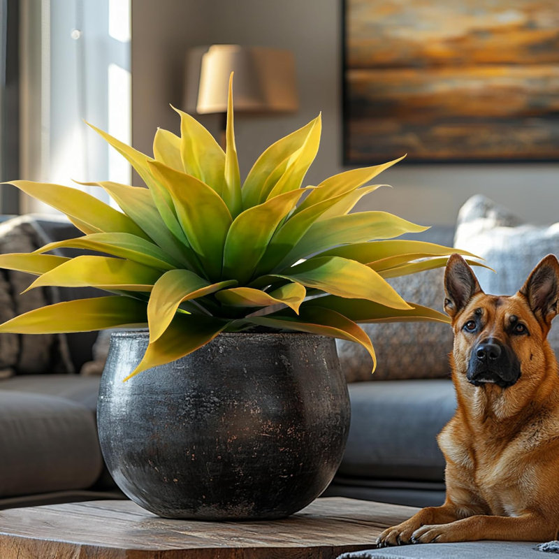 5.91cm Plant