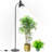 Floor Lamp, 5000K Full Spectrum 25W LED Grow Light For Indoor Plants - 55" H Floor Stand, Adjustable Angle With On/Off Switch?