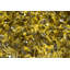 Orion Area Rug in Yellow-473779182