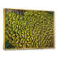 «Green Peacock Feathers II», reproduction d'art sur toile-872380151-872380158