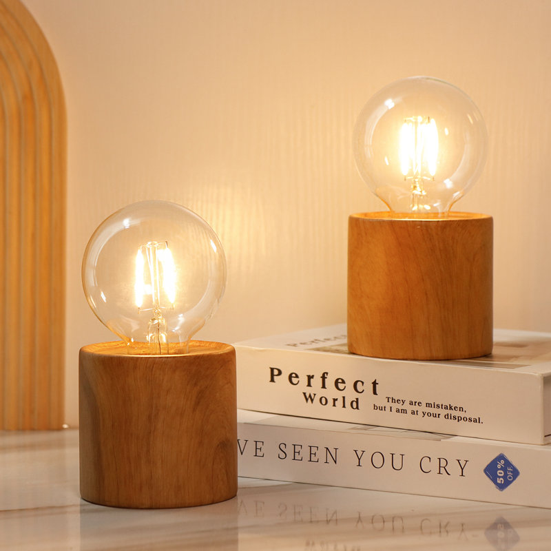Ebern Designs Set of 2 Battery Powered Lamp