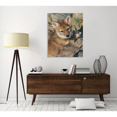 Valerie Warner Coyote Pup by Wild Apple Portfolio - Wrapped Canvas Print