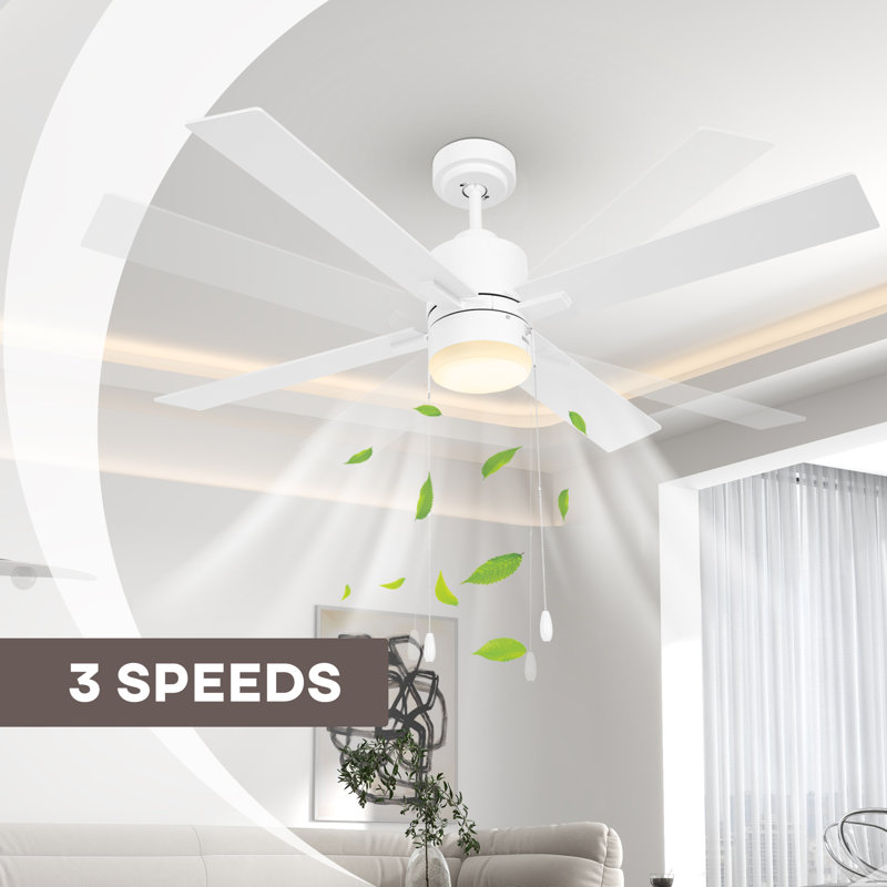 Caisha Ceiling Fan with LED Lights, White