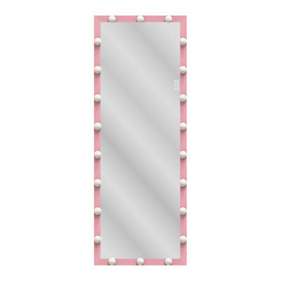 Eliyannah Aluminum Floor Mirror