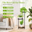 Plant Stand