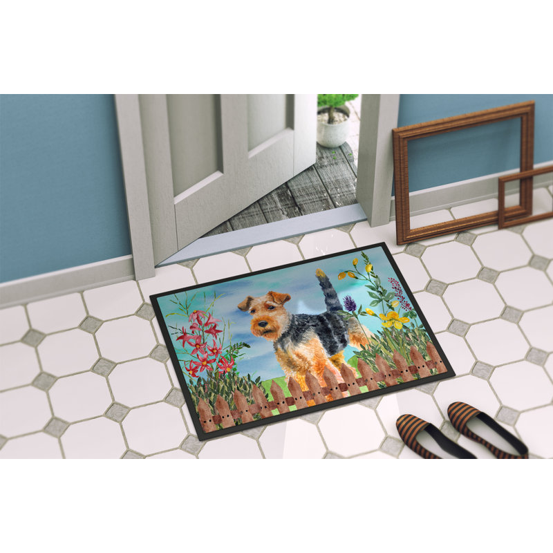 Tapis de porte d’extérieur antidérapant à ressorts terrier gallois, Rectangulaire : 18 po x 27 po