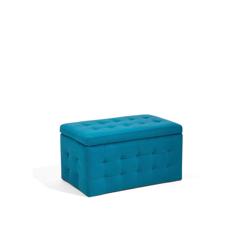 Wirrindela 73cm Wide Velvet Tufted Rectangle Ottoman with Storage