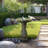 Concrete / Cement Pedestal Birdbath
