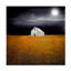 «Black Night Harvest» par Sasha, reproduction sur toile tendue-1955890383