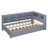 Grey Wooden Twin Size Daybed With 2 Drawers, Storage Shelf & USB Charging Ports-1273441923-1273441922