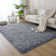 Alaunna Standard Shag Area Rug