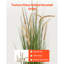 149.9cm Faux Reed Grass in Pot