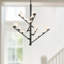 Cypress 5 Arm Opal Glass LED Chandelier-1462355289