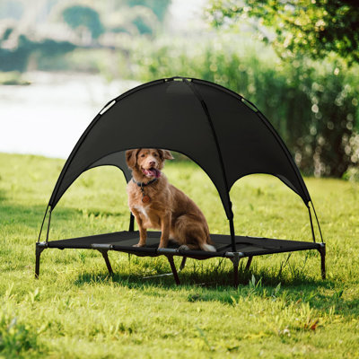 Deantay Polyester Pet Bed