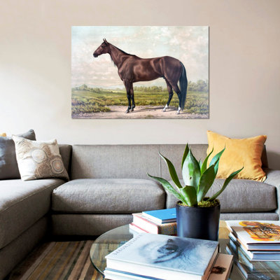 « cheval i », impression sur toile