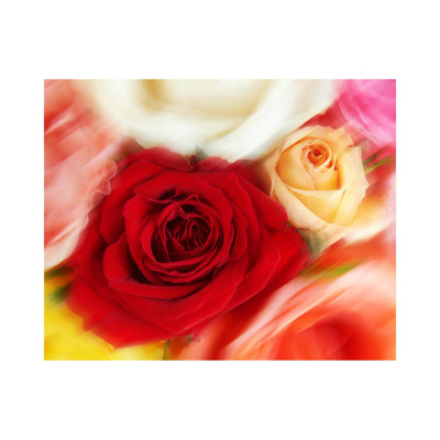 " Roses " by Scott Menaul