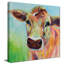 Brody - Peinture-400138056-400138058