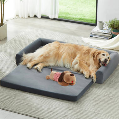 Tucker Murphy Pet™ Foldable Dog Sofa Couch Bed with Removable Washable  Cover