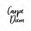 Carpe diem - Toile noire et blanche pour décoration intérieure