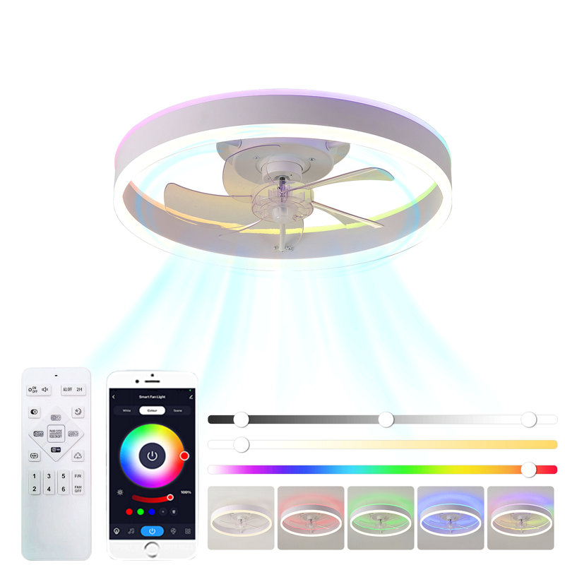 Ventilateur de 19,7 pouces avec lumières RVB de couleur tricolore à 6 vitesses réglables en énergie éolienne, rotation positive et négative