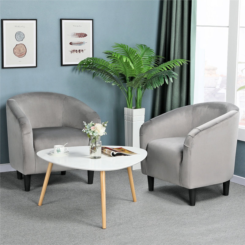 Robeson 28" Wide Velvet Barrel Chair, Gray Velvet