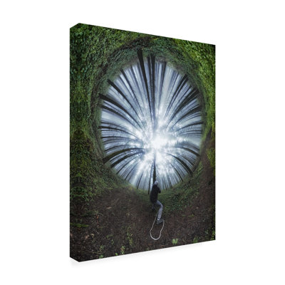 Francois Casanova  Light Trapper Canvas Art