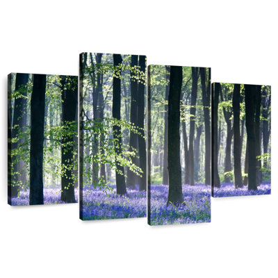 Bluebell Vision