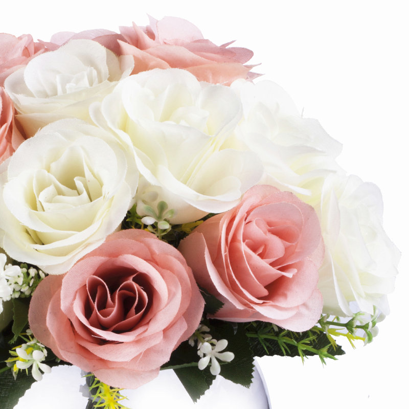 Maison de roses hampton, arbustes et pulvérisateurs, Rose / crème