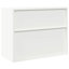 Storage Cabinet-451121082