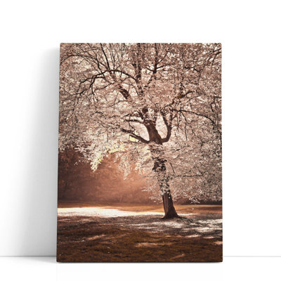 «Autumn Tree In Sunlight», reproduction d'art sur toile