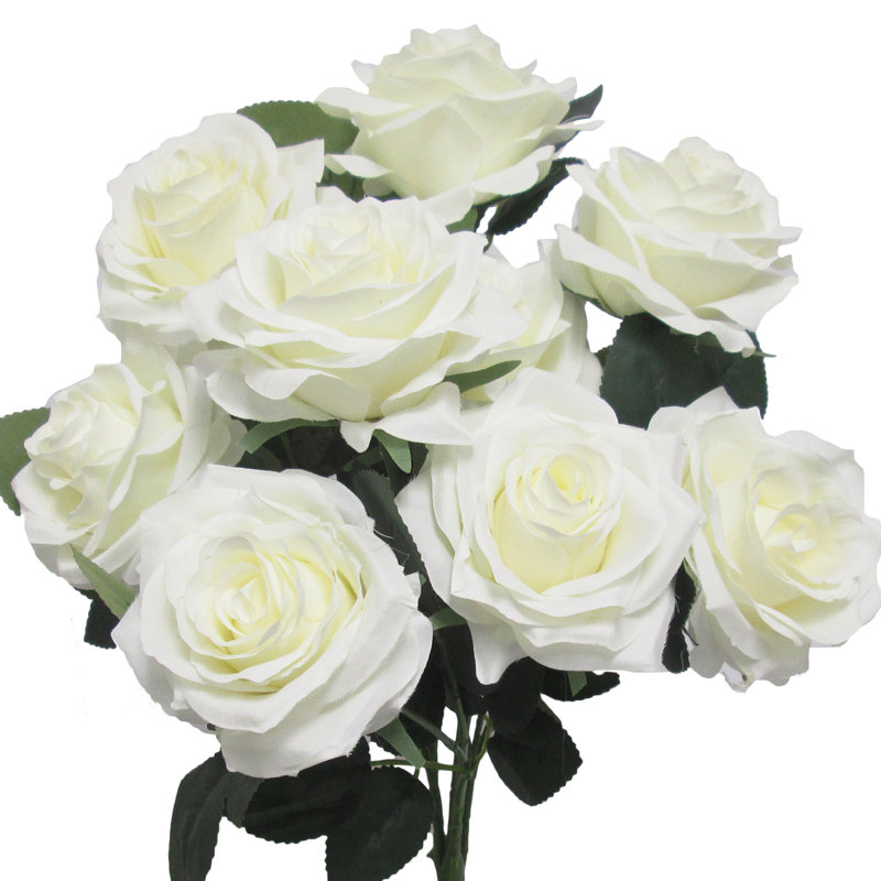 Grand rosier Jaafer Deluxe, Blanc, crème