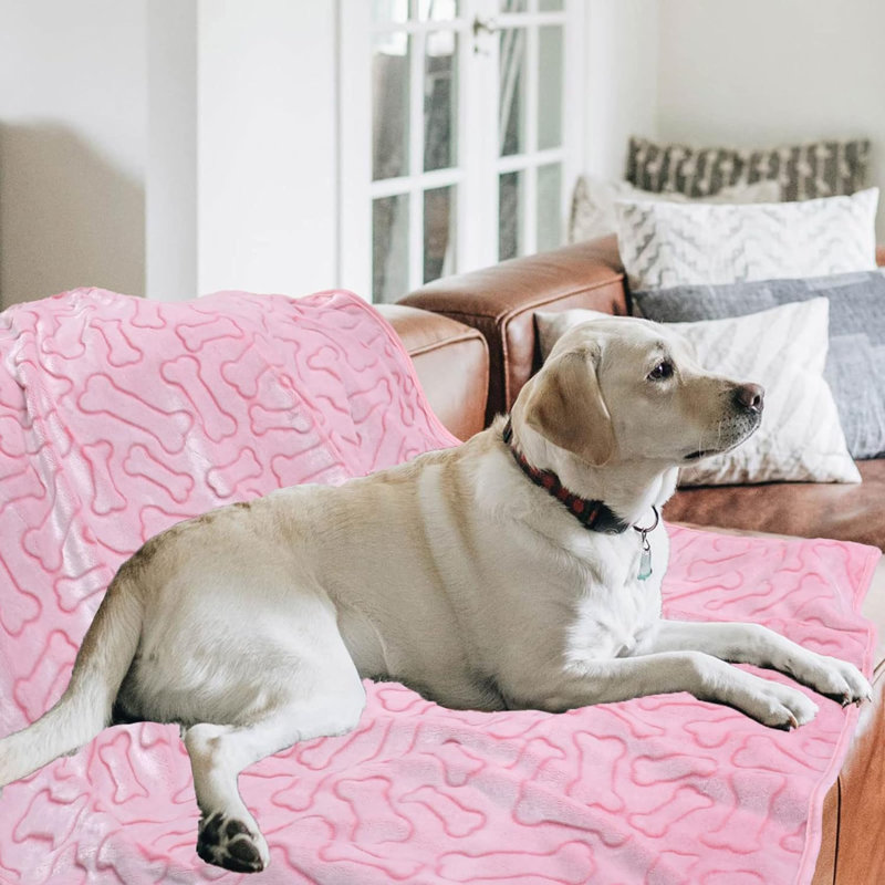 Animal Print Fleece / Microfiber Pet Blanket
