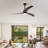 52" Ceiling Fan-121071160-121071157
