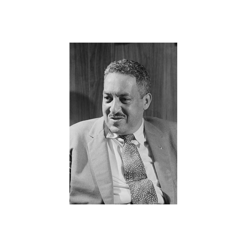 « thurgood marshall », reproduction de photo, H 66 po x l 44 po x P 1,5 po