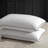 Kendig 100% Organic Cotton Cover Soft-Medium Feather Down Pillows Set of 2-31063871