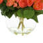 Begonia Floral Arrangement in Vase-476067644