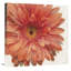 « vif red cascade », reproduction d’art sur toile-470899539-467526313