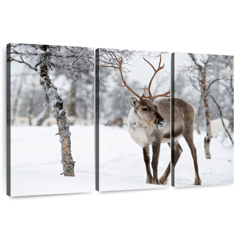 Brampt Lapland Reindeer, 48" H x 74" W