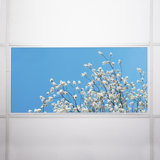 Tree Classroom Fluorescent Light Covers for Ceiling Lights - For 2x4 Light Fixture - by Octo Lights