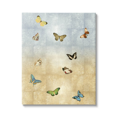 " Various Butterfly Insect Pattern "