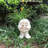 Muggly's Grandma Violet Face Statue Planter-756474816-756474822
