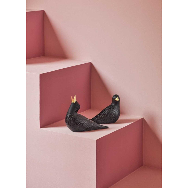 Starling II, Black/Yellow