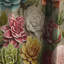 Motif botanique moderne I succulents - rideau à motif floral - 1 panneau-107555826