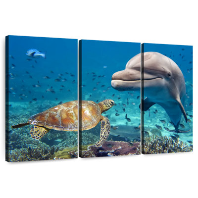 Aletra Underwater Friends