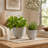 Gracie Oaks Unique Footed Planters, 2-Pieces-1715916981