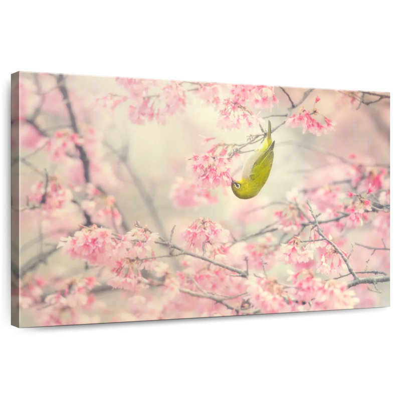 Cherry-Blossom Colour I