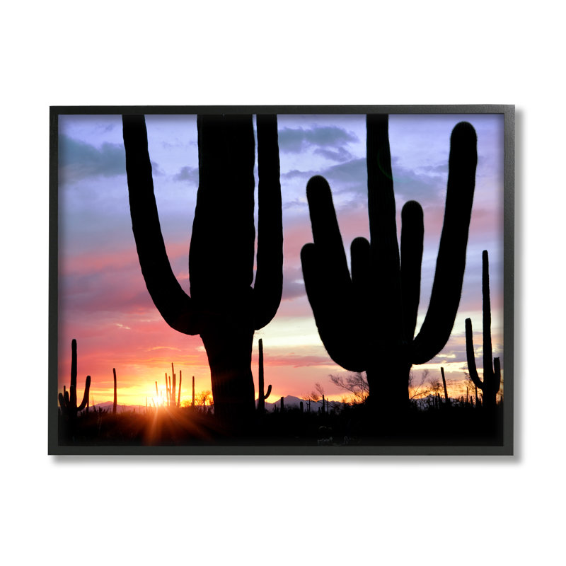 " Desert Cactus Sunset Silhouettes " by Dennis Frates, Midnight Black Framed Giclee, 11" H x 14" W x 1.5" D